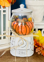 Load image into Gallery viewer, Pumpkins