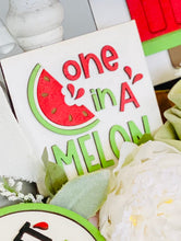 Load image into Gallery viewer, Watermelon Minis